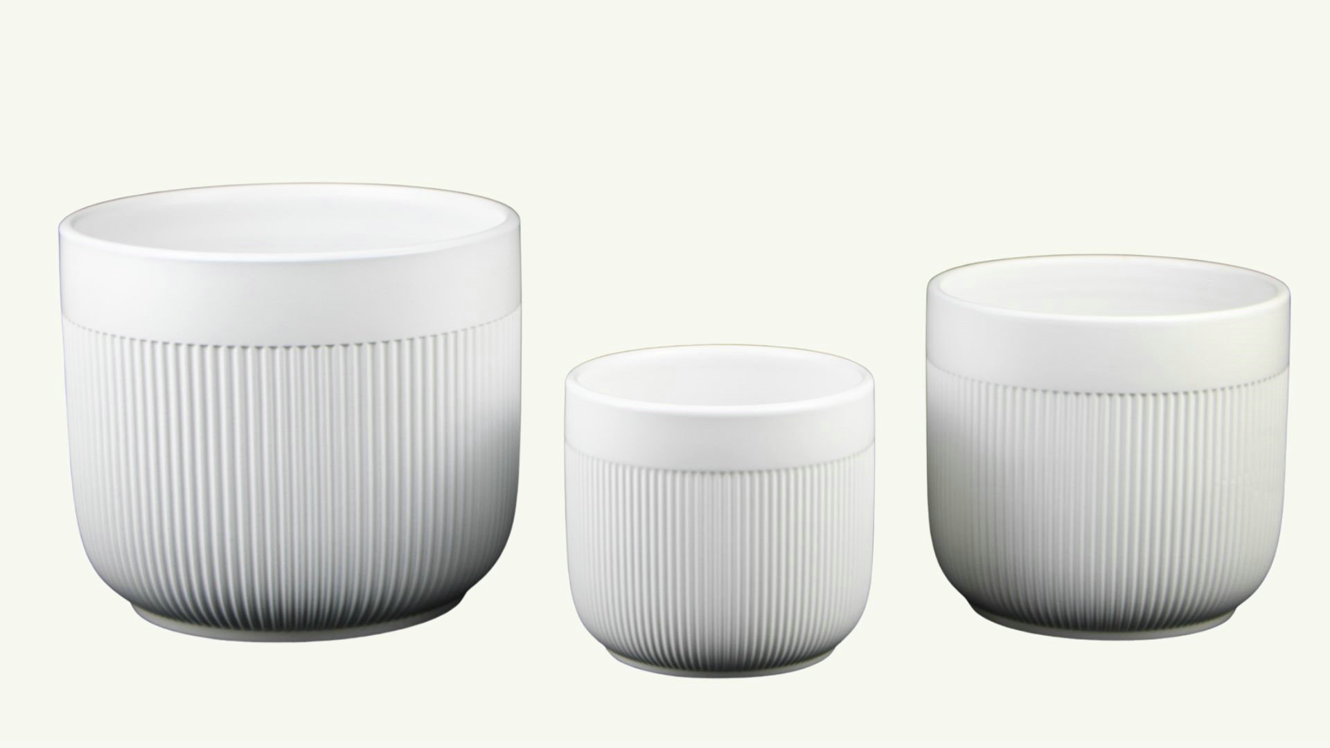 Minimalist matte planter with leafy plant