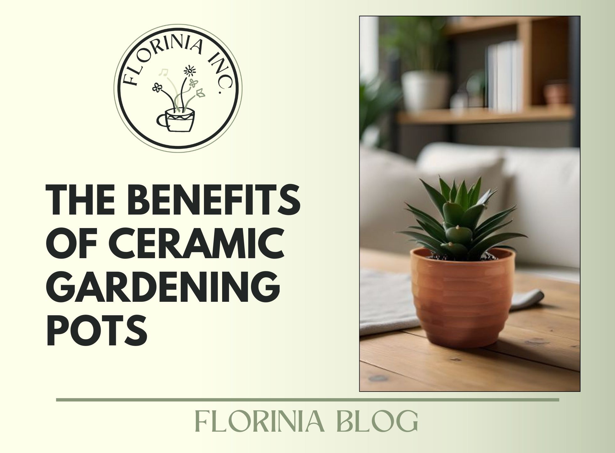 The Benefits of Ceramic Gardening Pots